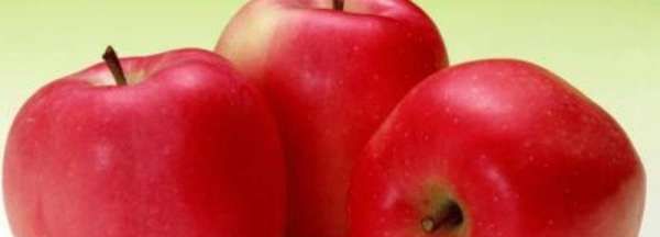 苹果切开后多久不能吃,苹果切开了第二天可以吃吗图3