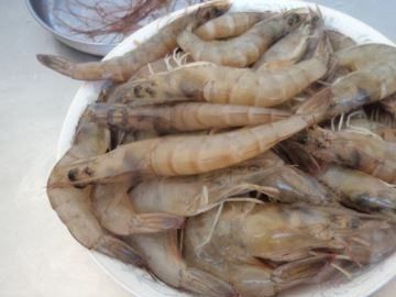 虾煮几分钟就熟了,虾煮几分钟就熟了图4