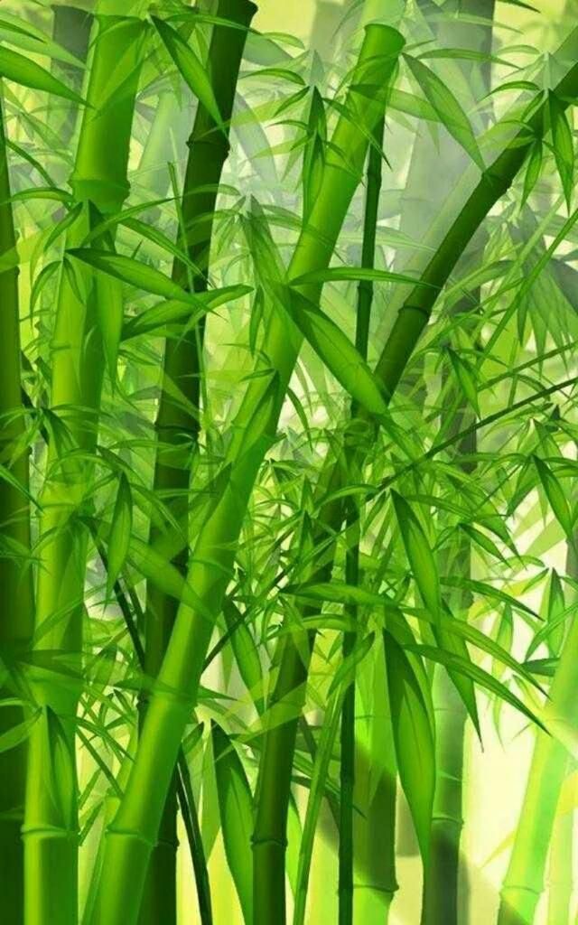 花中君子指的是什么，花中君子指什么花？图8