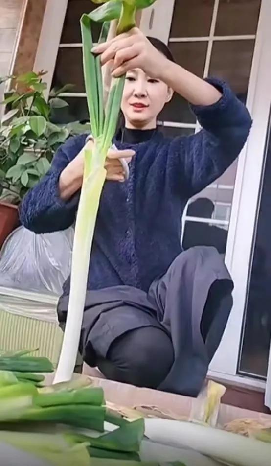 于文华个人资料简介（于文华：二婚老公很优秀，却不愿提及；没给他生孩子，却毫无遗憾）