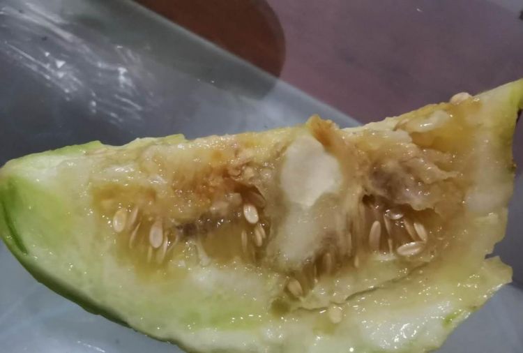 香瓜里面烂了还能吃吗