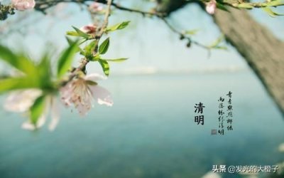 ​清明节手抄报简单又漂亮 一等奖 清楚(清明节手抄报简单又漂亮一等奖四年级)