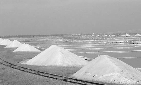 我国台湾最大的盐场是哪里