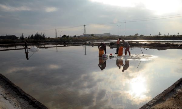 我国最大的盐场,我国最大的盐场在哪里图1