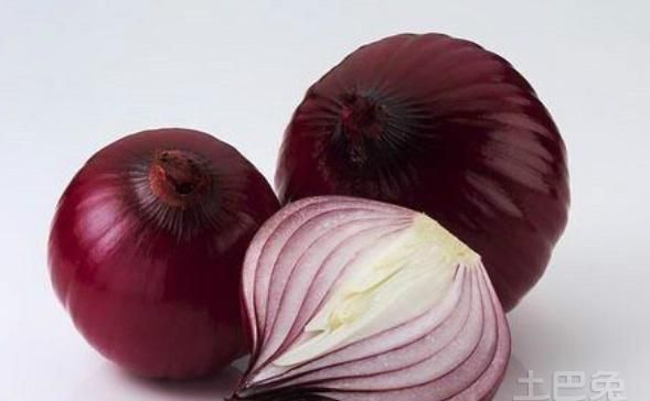洋葱能去除甲醛 哪些方法可以真正除甲醛的