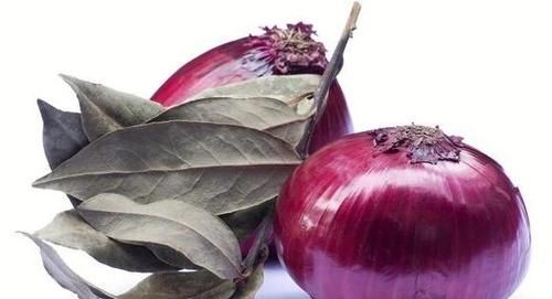 洋葱可以去除甲醛么