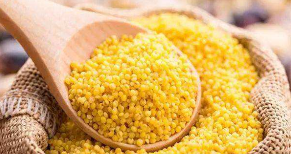 储存谷子放什么不招虫,稻谷不生虫放什么东西?图4