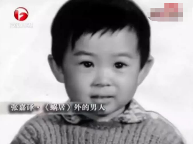 张嘉译前妻是谁(知名演员杜珺:与张嘉译离婚后,现在人生状况怎样?)