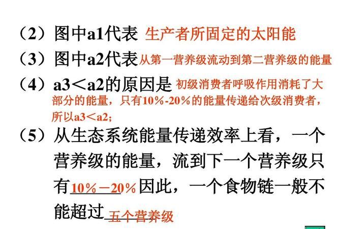 试根据能量流动的特点分析食物链中的营养级一般不超过五个的原因