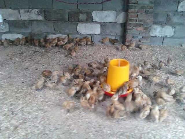 88年属龙34岁有一劫2022(属龙今年多大)