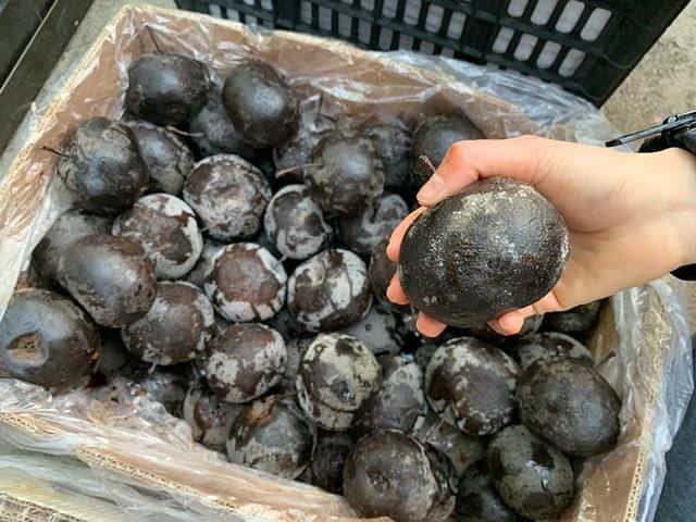 冻梨不冻了还能吃吗（在冰箱冻梨为什么不黑）