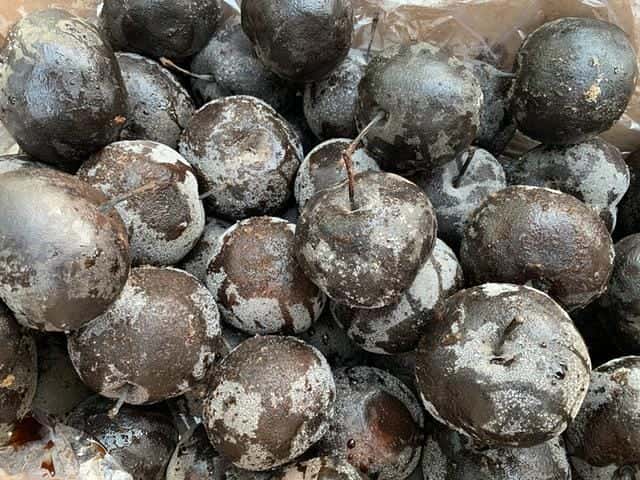 冻梨不冻了还能吃吗（在冰箱冻梨为什么不黑）