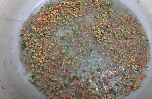 钓螺鲤用什么味型(螺鲤123的区别是什么)