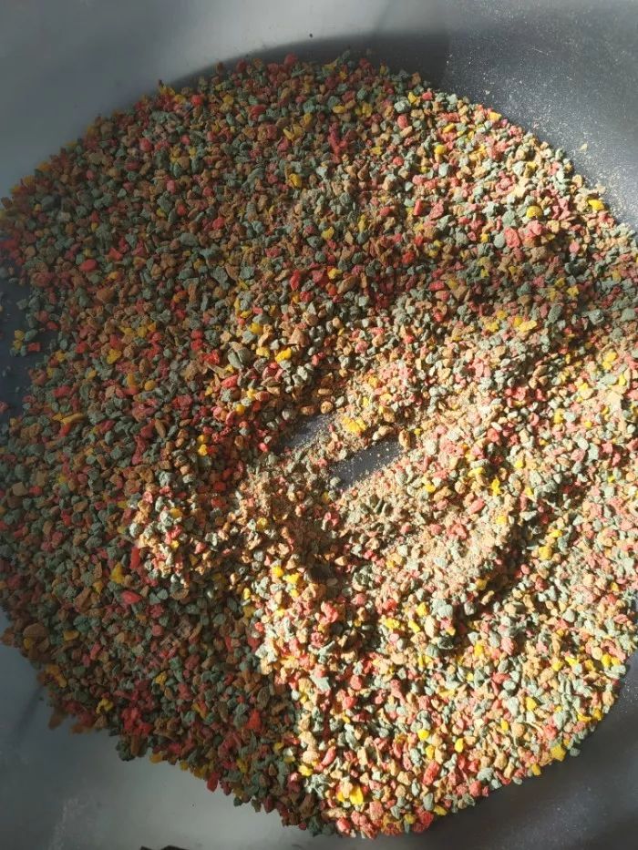 钓螺鲤用什么味型(螺鲤123的区别是什么)