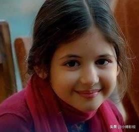 导盲犬小q观后感(导盲犬小q观后感450字)-第9张图片-