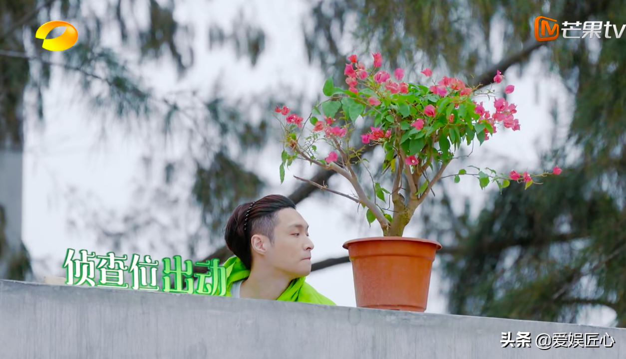《向往6》三大难题，张艺兴彭昱畅全都踩坑，张子枫挨打更显无辜