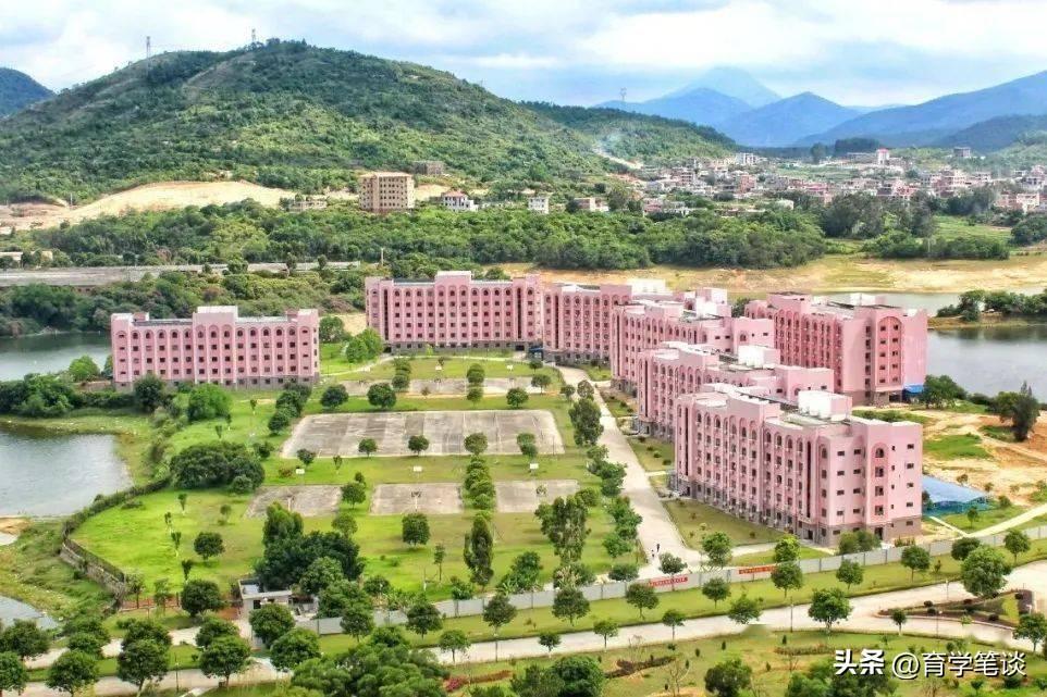 大学生校内骑自行车被处分(校内道路禁止学生骑自行车)