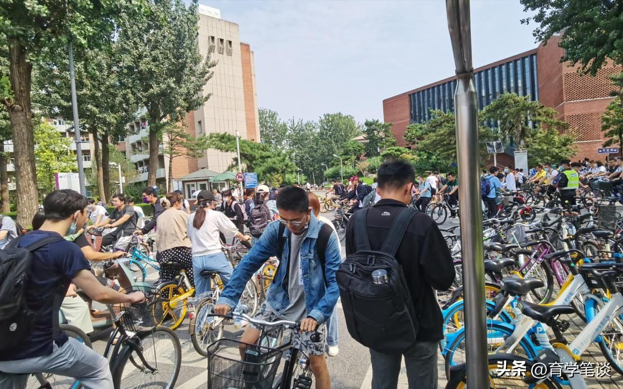 大学生校内骑自行车被处分(校内道路禁止学生骑自行车)