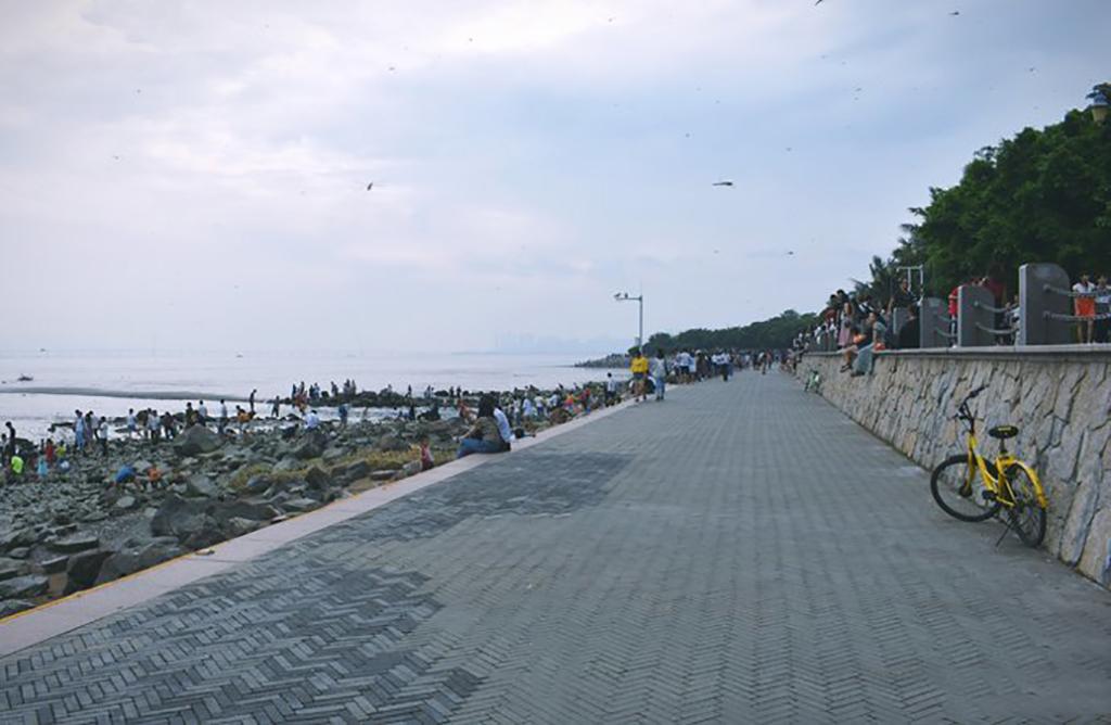 深圳红树湾公园在哪里(深圳红树湾公园坐地铁怎么走)