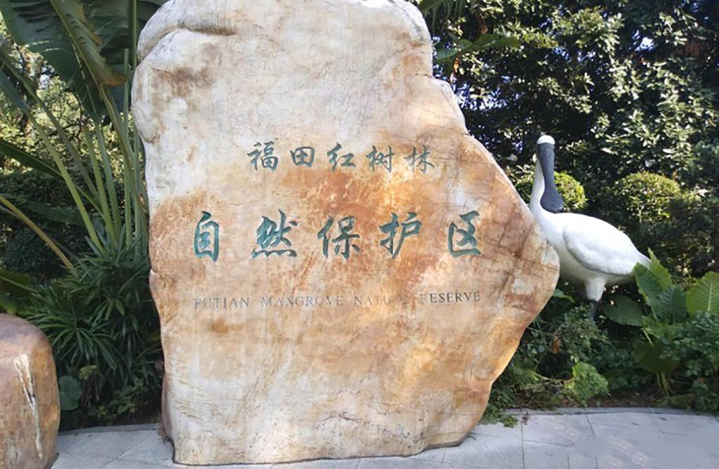 深圳红树湾公园在哪里(深圳红树湾公园坐地铁怎么走)