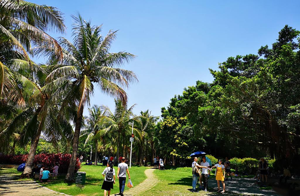 深圳红树湾公园在哪里(深圳红树湾公园坐地铁怎么走)