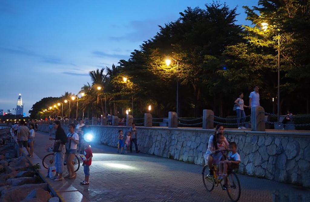 深圳红树湾公园在哪里(深圳红树湾公园坐地铁怎么走)