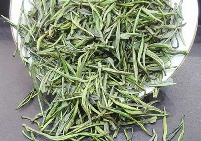 ​雀舌是什么茶，雀舌简介