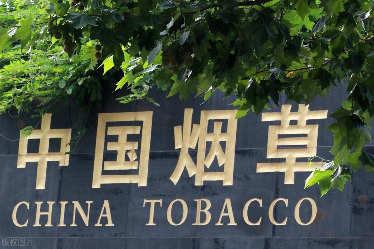 副区长属于什么级别(副区长属于正处级吗)