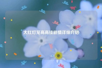 ​大红灯笼高高挂剧情详细介绍