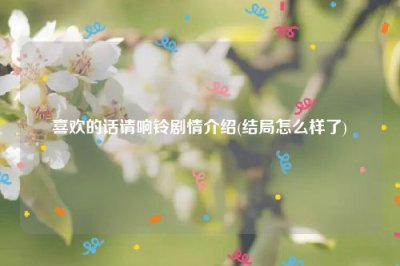 ​喜欢的话请响铃剧情介绍(结局怎么样了)