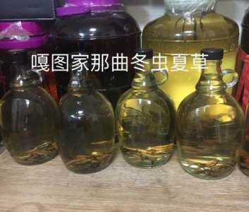 ​冬虫夏草泡酒最佳配方(冬虫夏草怎么泡酒喝效果最好)