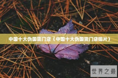 ​中国十大伪国货门店（中国十大伪国货门店图片）