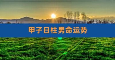 ​戊午日柱男命是好是坏