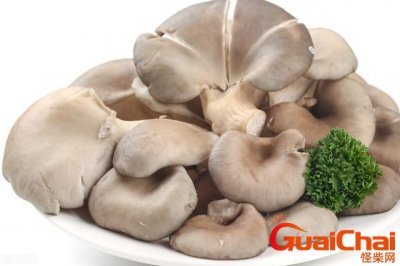 ​平菇的营养价值？及功效与作用禁忌？