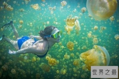 ​十大世界上最奇怪的湖泊，纳特龙湖是美丽的死亡陷阱