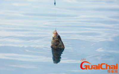 ​钓鱼有什么技巧,  钓鱼方法及攻略