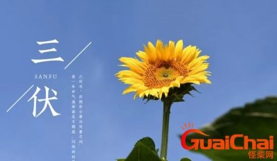 ​2023年三伏天起止时间  2023年三伏天从什么时候开始