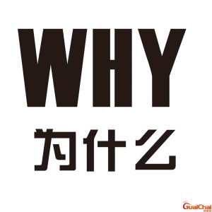 ​why是啥意思？why怎么读