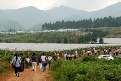 ​湘江战役由来经过意义及现场体验