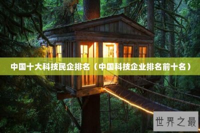 ​中国十大科技民企排名（中国科技企业排名前十名）