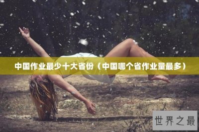 ​中国作业最少十大省份（中国哪个省作业量最多）