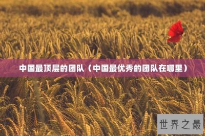 ​中国最顶层的团队（中国最优秀的团队在哪里）