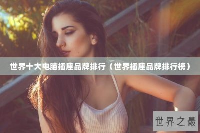 ​世界十大电脑插座品牌排行（世界插座品牌排行榜）