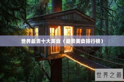 ​世界最贵十大美食（最贵美食排行榜）