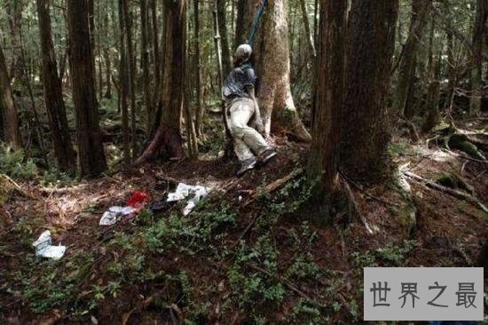 世界十大最恐怖的森林，日本自杀森林，已发现600人自杀！