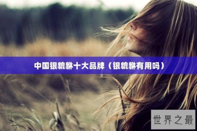 ​中国银貔貅十大品牌（银貔貅有用吗）