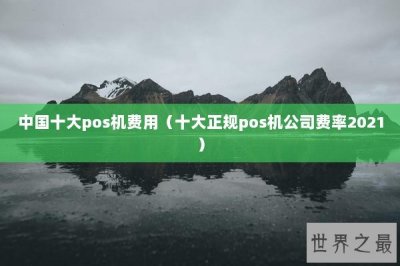​中国十大pos机费用（十大正规pos机公司费率2021）