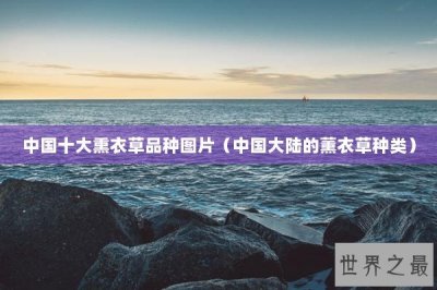 ​中国十大熏衣草品种图片（中国大陆的薰衣草种类）
