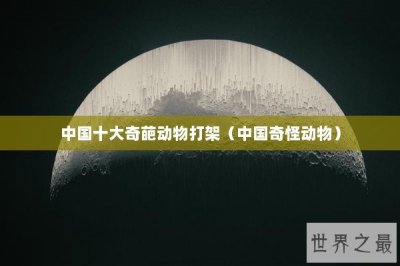 ​中国十大奇葩动物打架（中国奇怪动物）