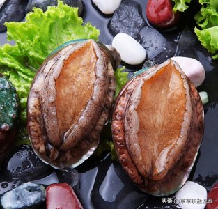 ​鲍鱼的功效与作用及营养（非常美味滋补）